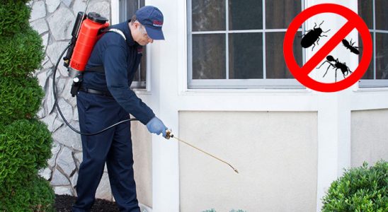 Güneysu Akrep İlaçlama böcek ilaçlama ve haşere kontrolü — ilaclama-tr.com